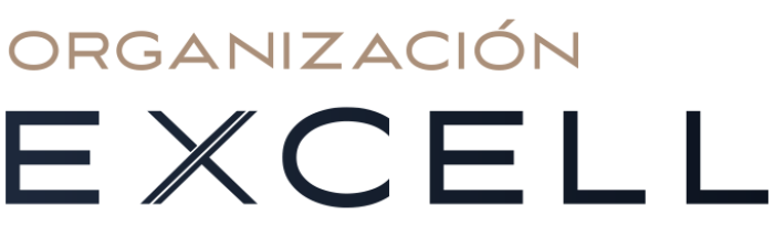 Organización Excell
