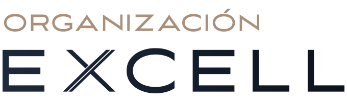 Organización Excell